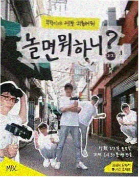 孔雀开屏正脸特写的高清鸟类图片